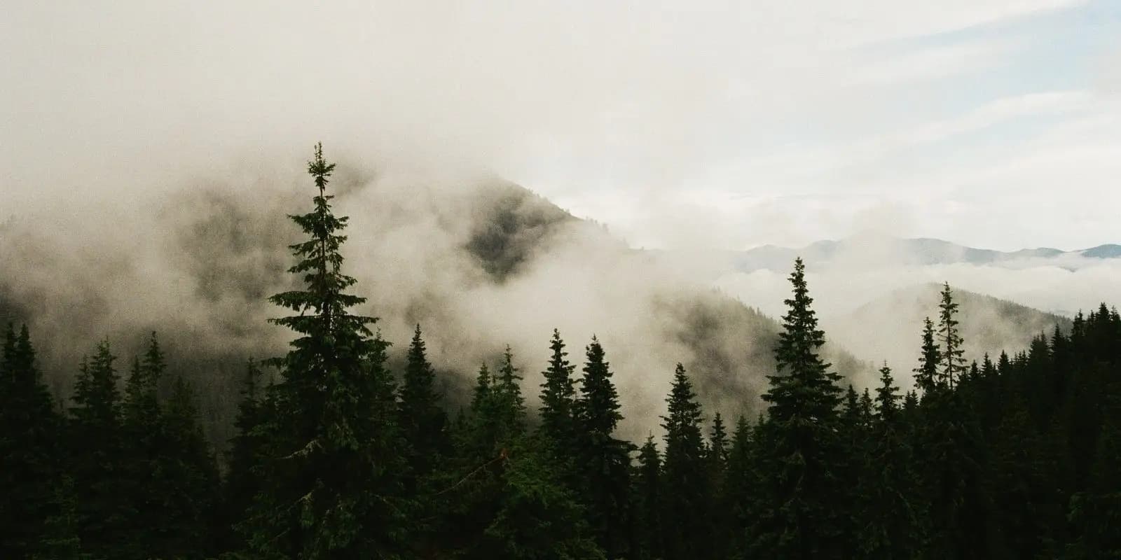 Picture of the mountains