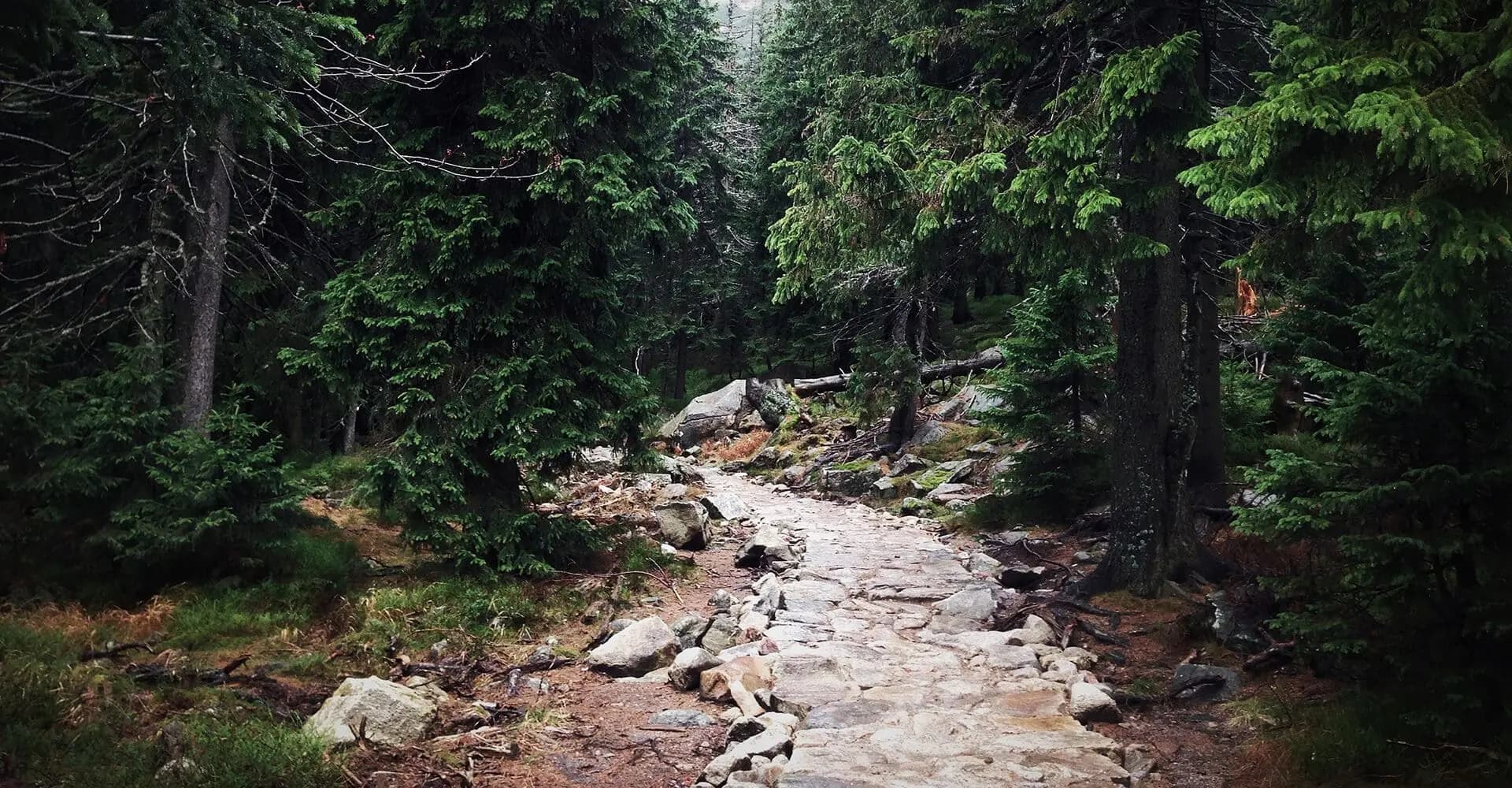 Picture of the mountains